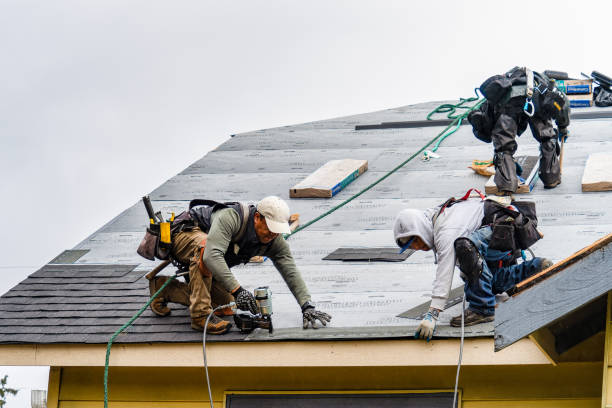 Professional Emergency Roof Repair technician working in Lexington, MI